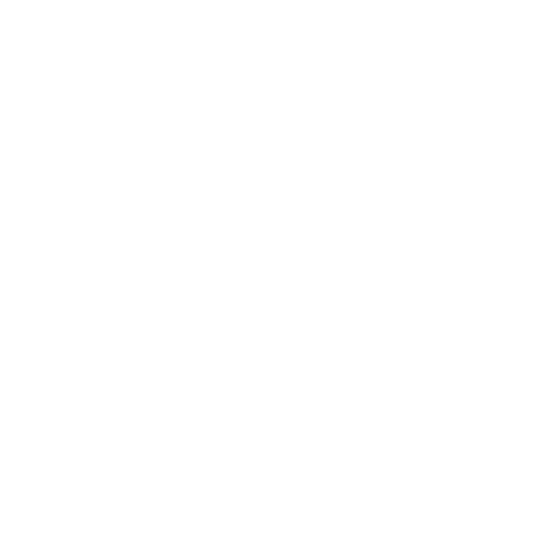 Visual Design Logo